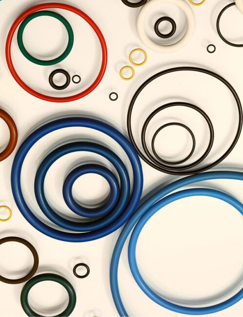 O - Rings